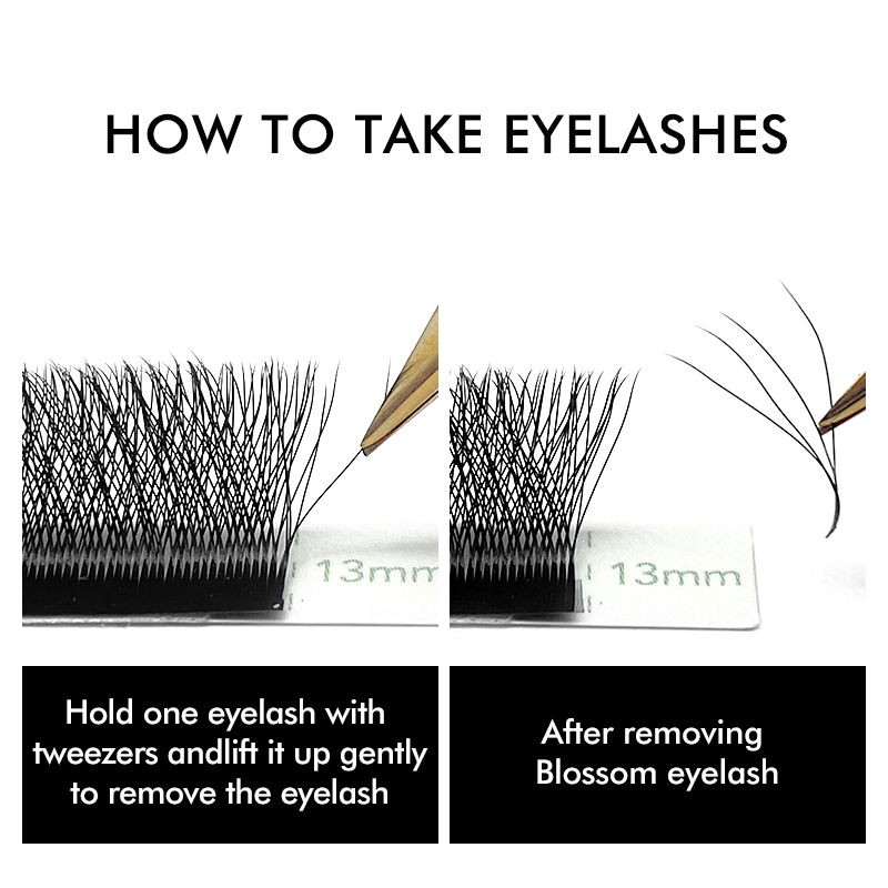 3D 4D 5D 6D W Shaped Clover Ey - đánh giá và giá Eyelash Extension Russian